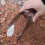Compacte Tuinschep RVS Met Zeefrooster 10