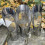 Compacte Tuinschep RVS Met Zeefrooster 6