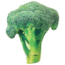 Creative Realistische Broccoli Kissen Weiches Plüsch Gemüse Für Kinder