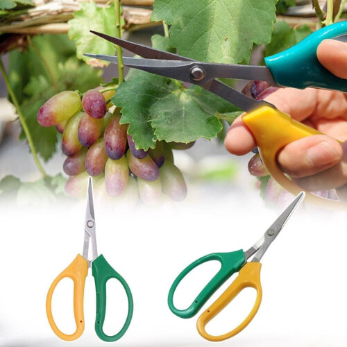 Trimming Scissors For Garden Nonstick Pruning Shears Garden Scissors Sharp Snips Handheld Pruning Warping Head 1 Pc 2