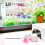 5 Stuks Dubbelzijdig Dotting Tool Voor Nagellak Manicure 5