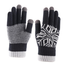 Winterwarme Handschuhe mit Touchscreen-Funktion, SMS-Handschuhe zum Skifahren, Schwarz