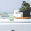 Pet Urn Keramisch Crematie Hond Kat Ashes Container 4