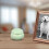 Pet Urn Keramisch Crematie Hond Kat Ashes Container 5