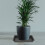 8 Unidades Retangular De Plástico Para De Bonsai 10
