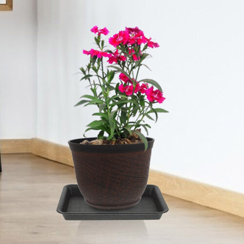 8 Unidades Retangular De Plástico Para De Bonsai 2