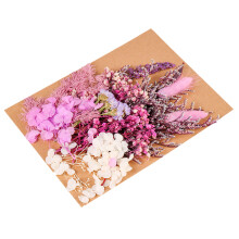 Natural Preserved Dried Flowers for Resin Crafts and Home Decor