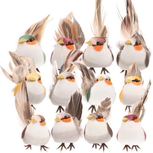 12 Pièces Oiseaux Simulés Pour Jardin Décoratif 1