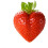 Garden Fruit Shaping Tool Heart Shape For Pears And Melons 2