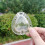 Garden Fruit Shaping Tool Heart Shape For Pears And Melons 5