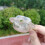 Garden Fruit Shaping Tool Heart Shape For Pears And Melons 3