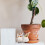 12 Pezzi Uccelli Sintetici Decorativi Per Giardino 9