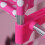 Libri Con Rosa Per Casa 11