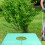 Telo Per Potatura Da 200X200 Cm Con 3