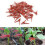 3 Confezioni Clip Per Verdure In 4