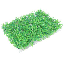 Sfondo Artificiale Con Topiaria