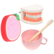 Set Modello Per Didattico Bambini Spazzolatura