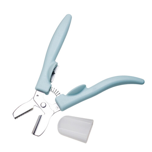 Chestnut Cracker Stainless Steels Multipurpose Nut-Blue