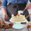Manual Cake Turntable Gładko Obrotowy Stół Ciastowy 3