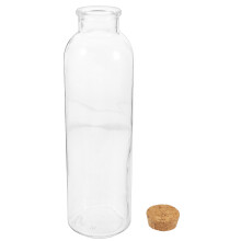 Clear Glass Terrarium Container Multi-Functional Storage Bottle