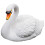 Estátua De Cisne Com , Decorativa 10