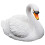 Estátua De Cisne Com , Decorativa 9
