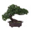 Planta Artificial De Vaso Bonsai Plástico Decorativo 7