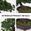 Planta Artificial De Vaso Bonsai Plástico Decorativo 11