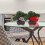 Planta Artificial De Vaso Bonsai Plástico Decorativo 5
