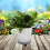 De Plástico Para Jardinagem Com Rodízios Para De 6