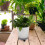 De Plástico Para Jardinagem Com Rodízios Para De 10