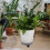 De Plástico Para Jardinagem Com Rodízios Para De 8
