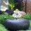 Automatic Solar Powered Water Pumps For Birdbaths-2.5W 7