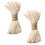 2St Floral Striped Webbing Geschenkverpackungsband Naturfarben 8