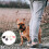 4Pcs Durable Silicone Anti-Loss Protective Case for Cat Pad 7