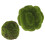 2 Stuks Imitatie Moss Bollen Decoratie Accessoire 5