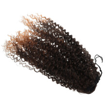 2Stk Curly Synthetische Pferdeschwanzverlängerung Mit Kordelzug