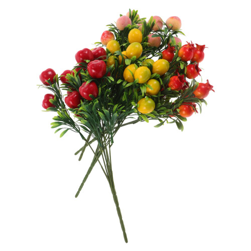 8 Obstbäume Granatapfel Apfel 1