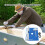 Plaque d'insertion de Table de routeur en aluminium-Placage bleu 6