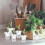 100 Unidades Cestas De Hidropónicas Para Verduras 8