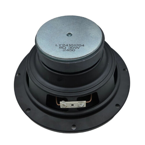 6.5inch Midrange Driver Horn Speaker 30W Powerful Handling With