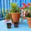 100 Pièces Carrés Pots De Trous Drainage Réutilisables 6