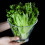 2 Pezzi Ciotole In Trasparente Per Gelato Verdure 4