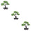 3 Pezzi Bonsai Finto In Vaso E Ufficio 9