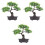 3 Pezzi Bonsai Finto In Vaso E Ufficio 3