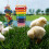 4St Hangend Kippen Speelgoed Met Diverse Vormen 9