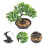 Bonsai Artificial Para Decoração De 5