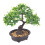 Bonsai Artificial Para Decoração De 8