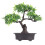 Bonsai Artificial Para Decoração De 4