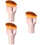 3Stk. Make-up- Für Foundation, Tragbar, Für 9